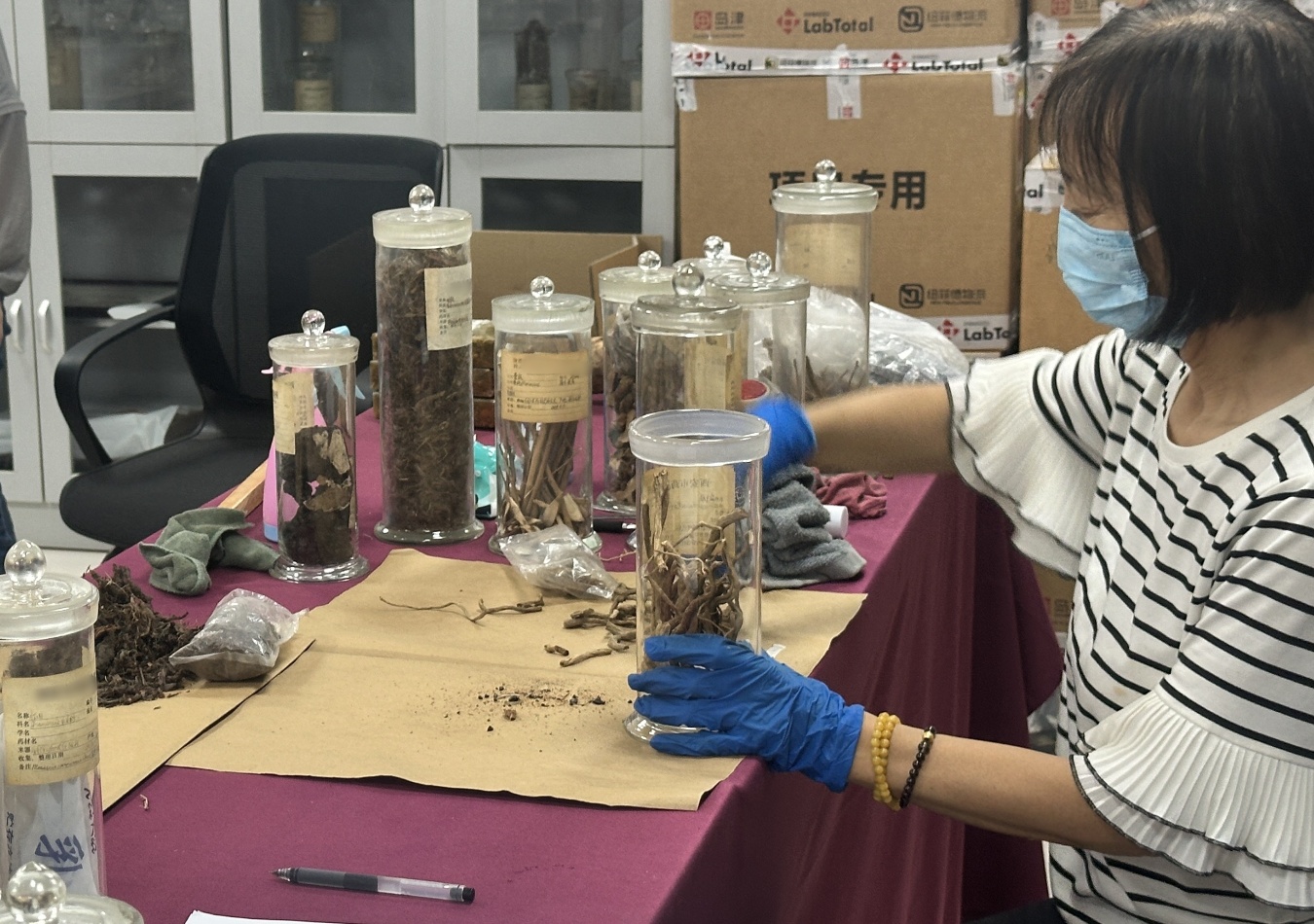 老標(biāo)本新面貌 修復(fù)“整容”有一套！